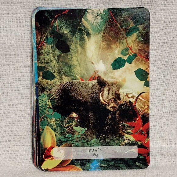 The Hawaiian Oracle - Picture 10 of 14